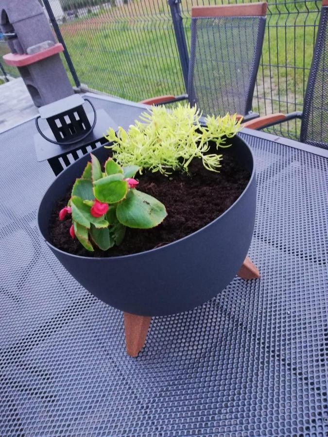 Domki U Strazaka Gaski -Morze Exteriör bild